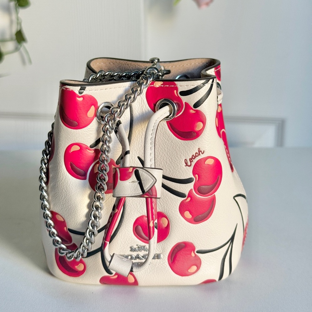 Coach mini bucket
